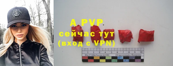 гашик Щигры