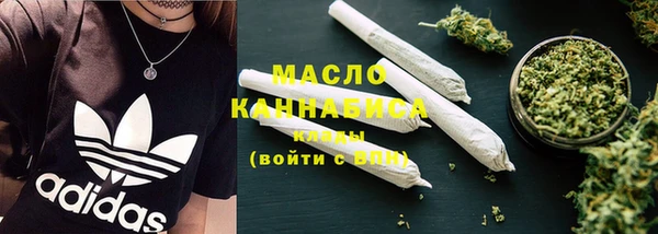 меф Ельня