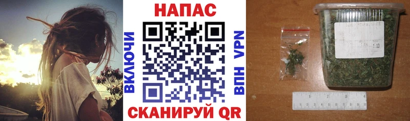 Купить закладки  Нефтекумск  Марихуана семена 